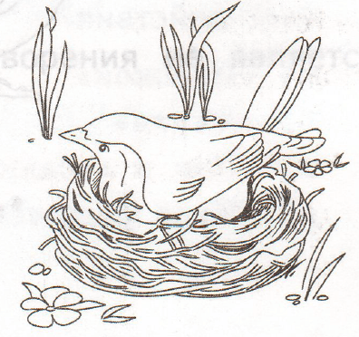 Задание рисунок 1