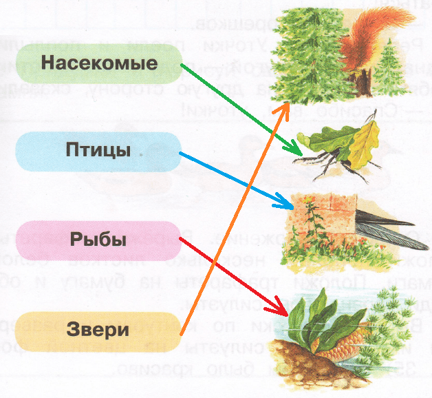 Решение рисунок 1