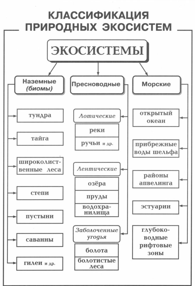 Решение рисунок 1