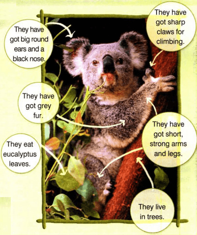 Задание рисунок 1